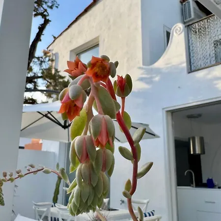 Casa Blu *